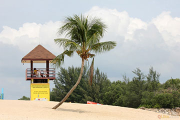 Untitled Photo
