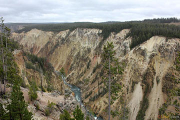 Yellowstone