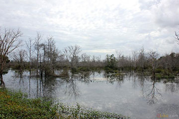 The Pond Outside Neak Pean