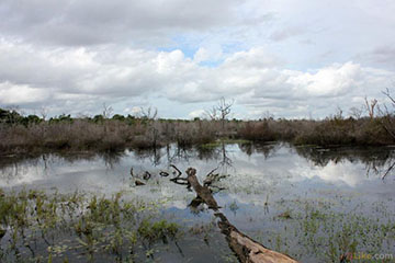 The Pond Outside Neak Pean