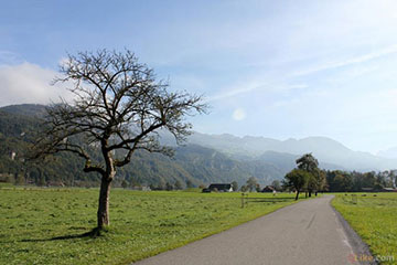 Green in the Alps