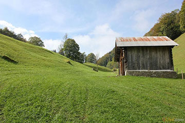 Green in the Alps