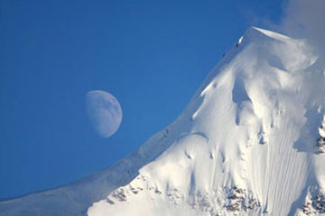 Untitled Photo