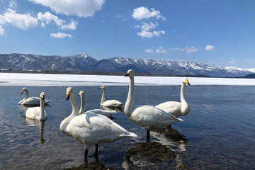 Lake Kussharo